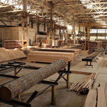 В Бокситогорском районе Ленобласти создали безотходное деревообрабатывающее производство